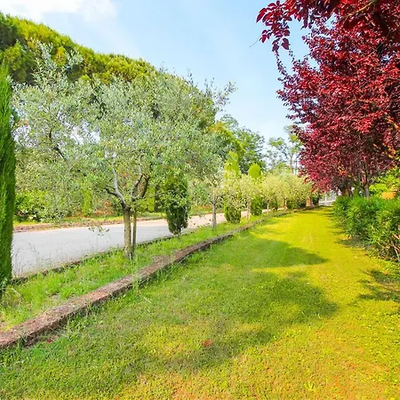 & Country Holidays Апартаменти *